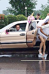 Sexy brides stockings upskirts